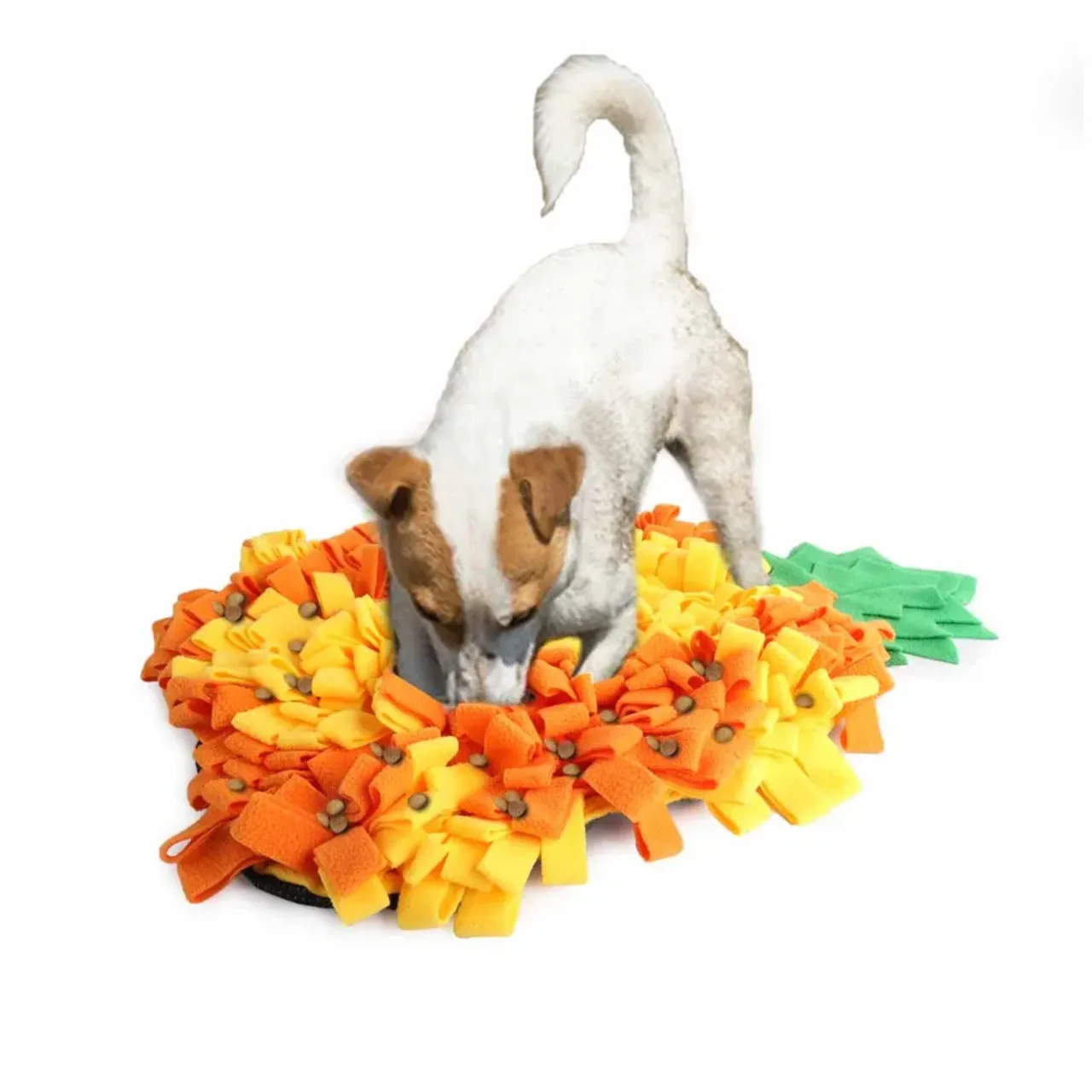 AFP Snusemåtte Ananas til hund 63x42x4 cm
